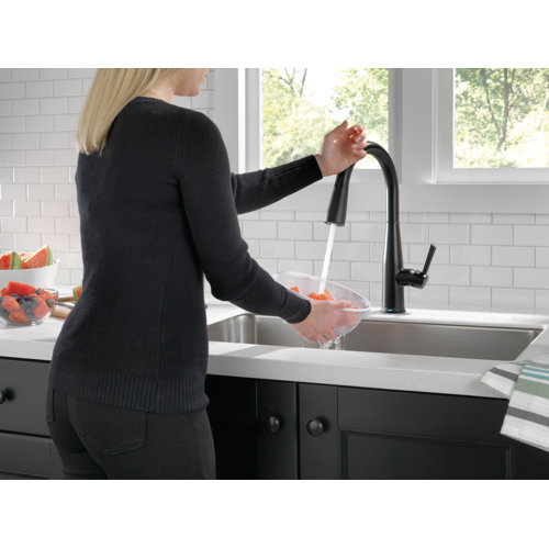 9113TDST,BLDST,ARDST Delta Essa Pull Down Touch Kitchen Faucet